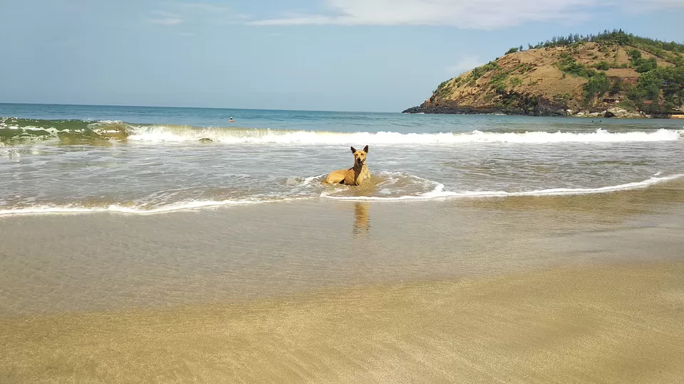 Photo of Gokarn by Rolling Gypsy