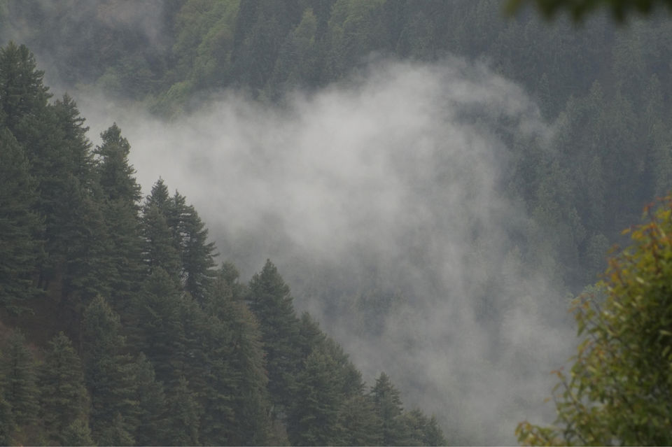 Photo of Tosh, Himachal Pradesh, India by GYPSY JAWA