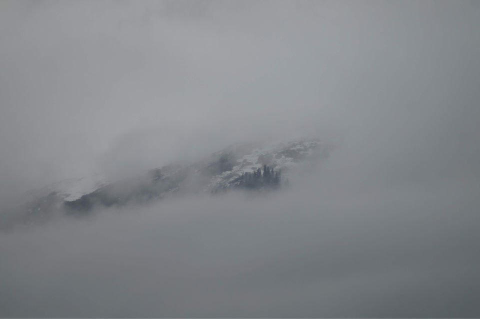Photo of Tosh, Himachal Pradesh, India by GYPSY JAWA