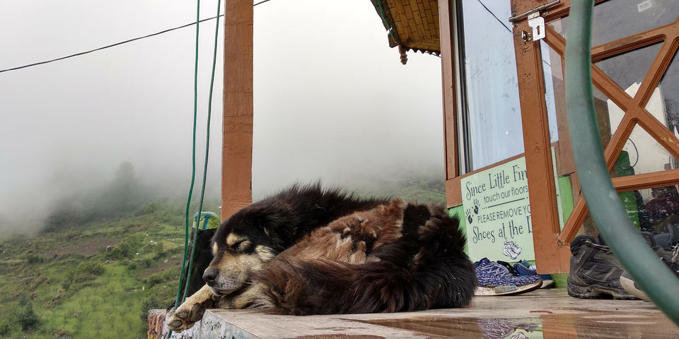 Photo of Boom Shiva Cafe, Tosh, Himachal Pradesh, India by GYPSY JAWA