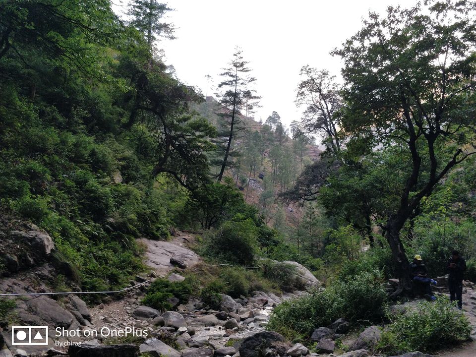 Photo of An escape to the mountains : Tirthan valley by Chirag Chakraborty