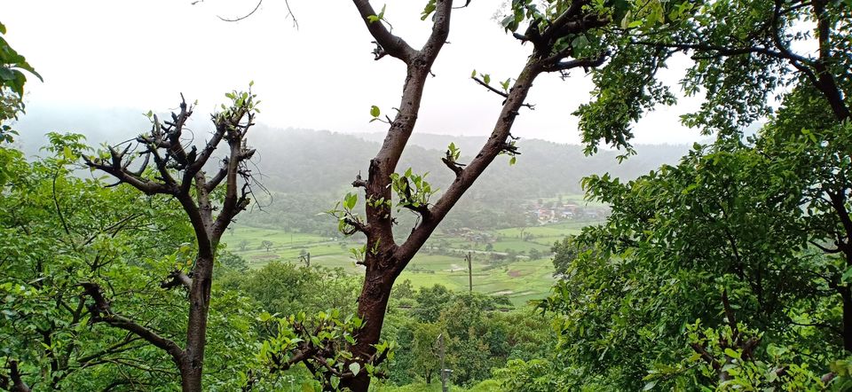 Photo of Hotel Green land, Aswin Nagar, Igatpuri, Maharashtra, India by Manasi Bhatt