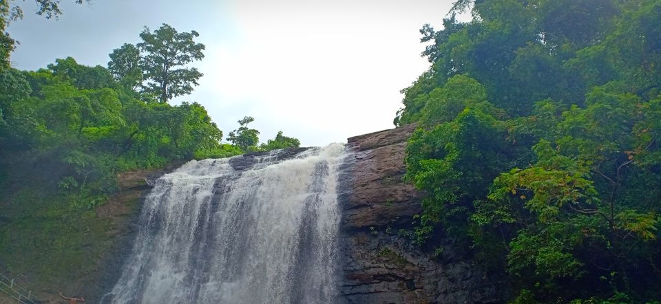 Photo of Ashoka waterfall, Maharashtra, India by Manasi Bhatt