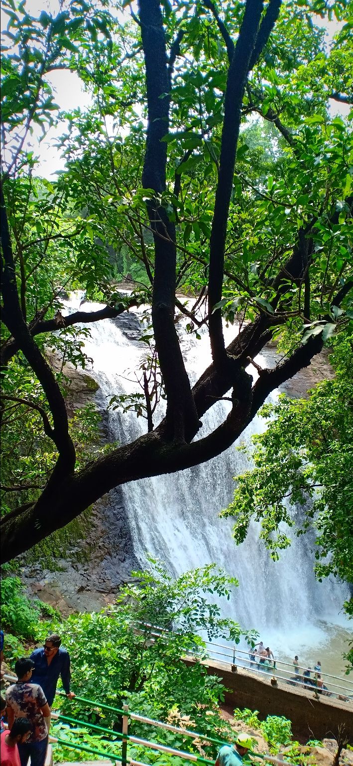 Photo of Ashoka waterfall, Maharashtra, India by Manasi Bhatt