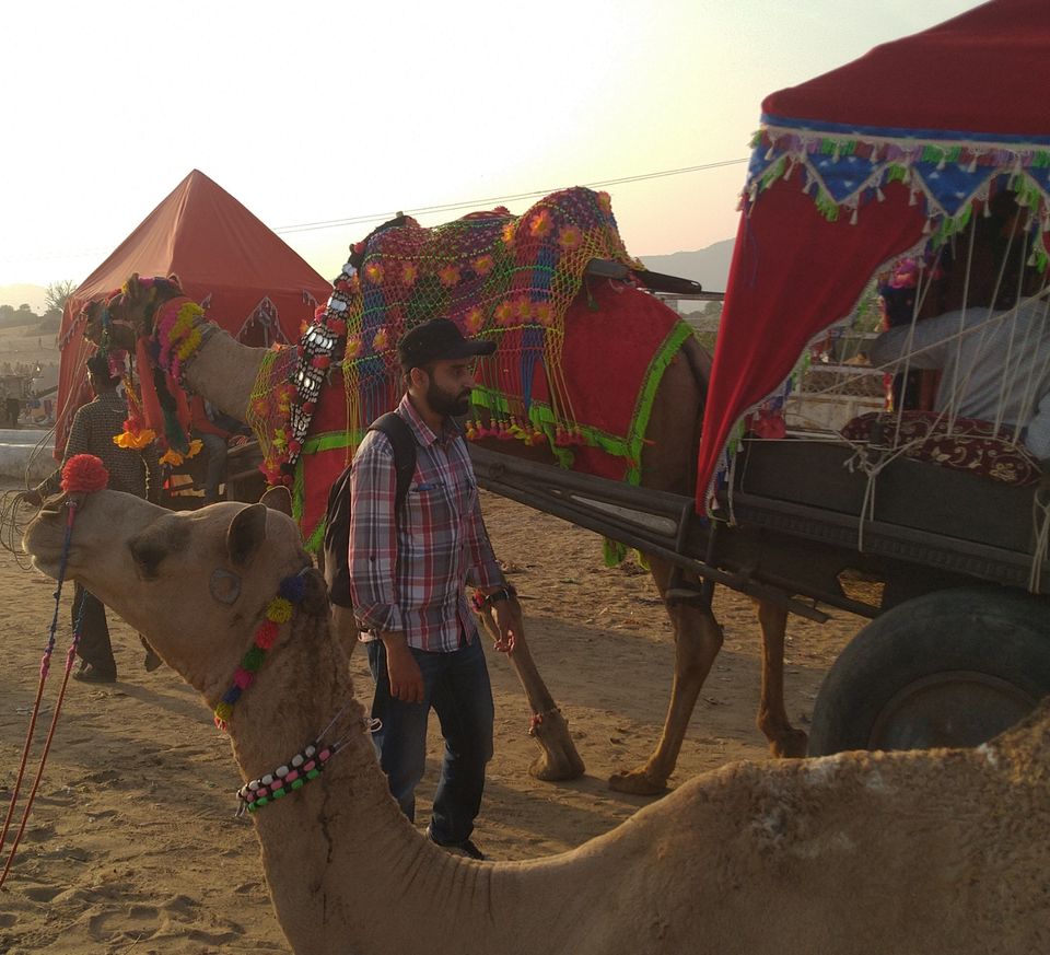 Photo of Pushkar : the real blue lotus of Rajasthan Tourism. by Tanay Raj