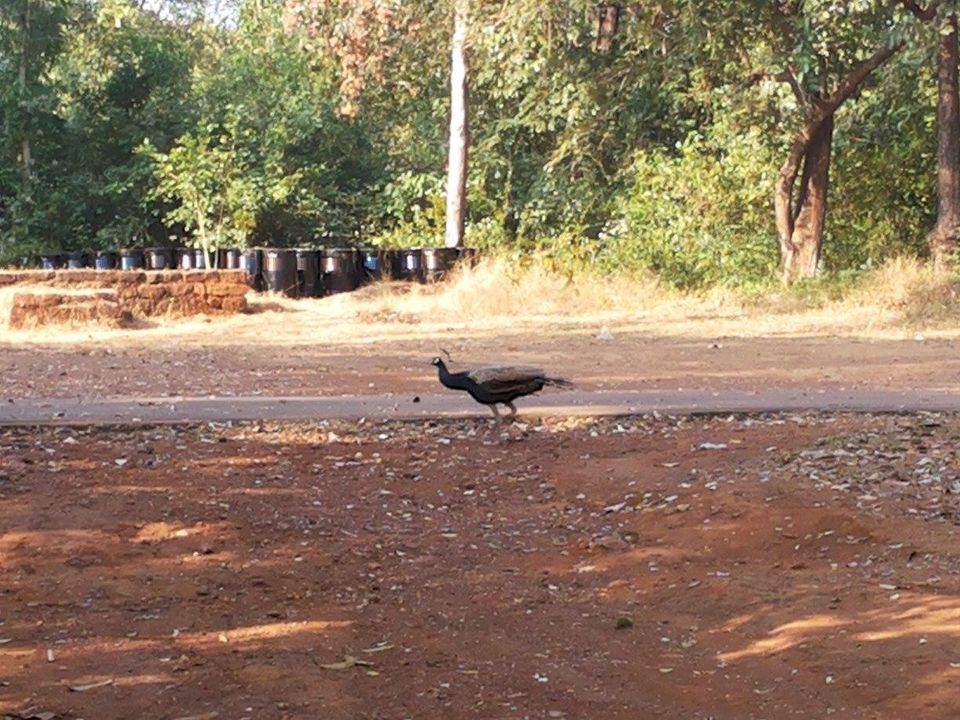 Photo of YHAI GOA Cycling Expedition 17/18 by bhushan virkar