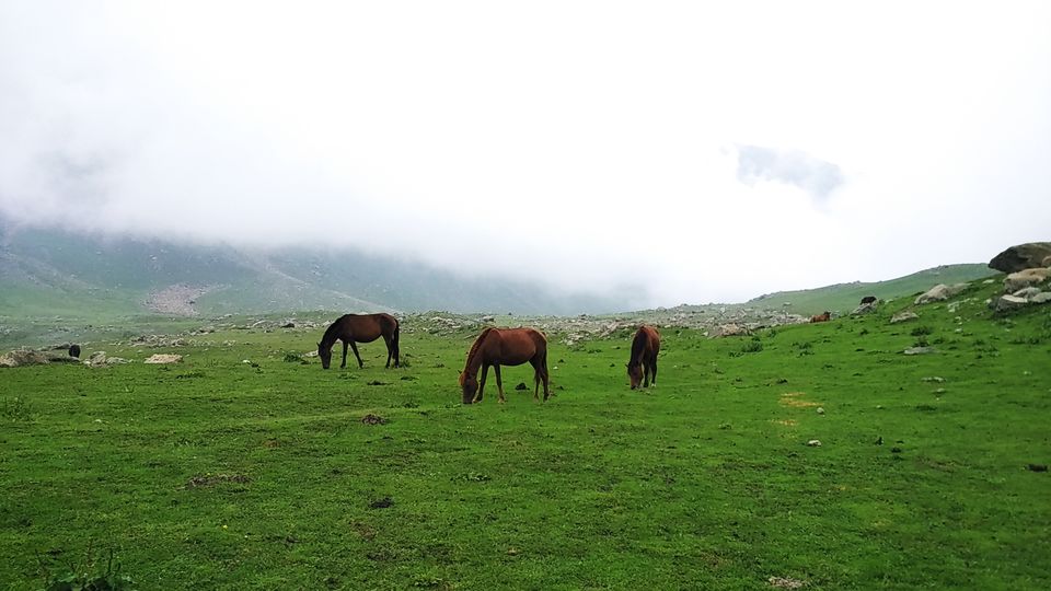 Photo of Kashmir Great Lakes - perfect way to explore paradise 15/16 by bhushan virkar