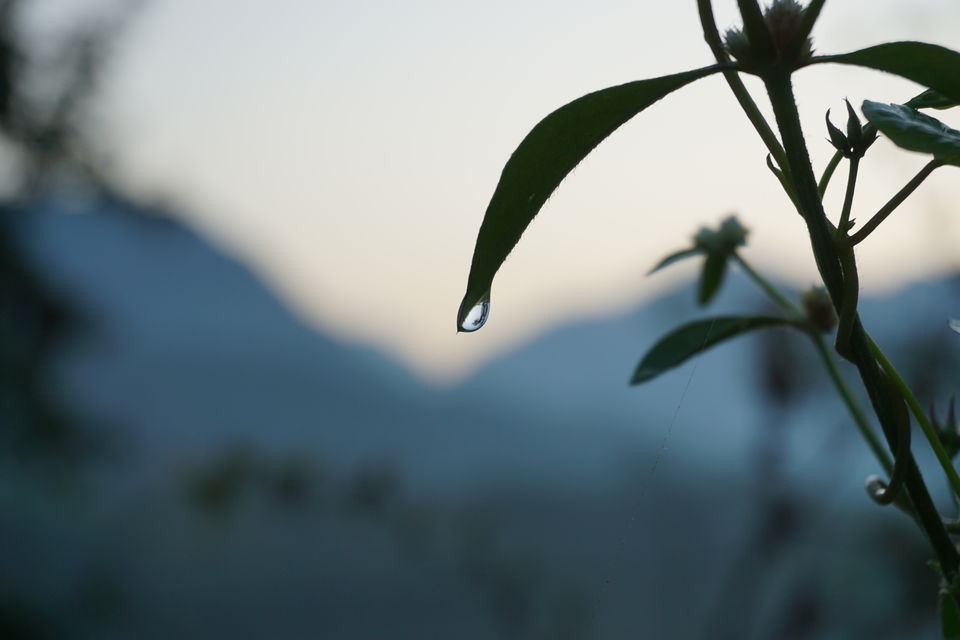 Photo of Bilaspur, Himachal Pradesh, India by Anas Jameel