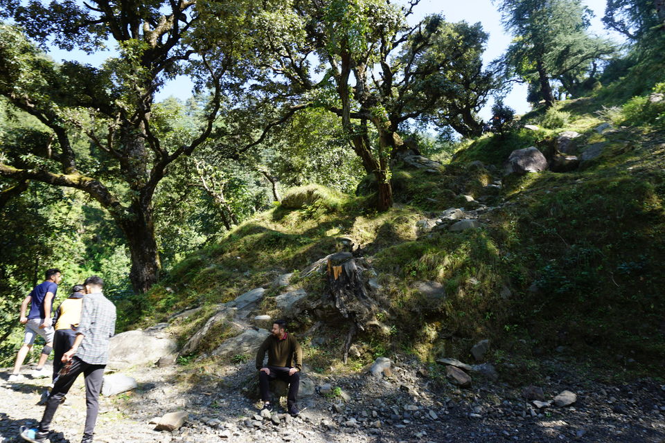 Photo of Bagi, Himachal Pradesh, India by Anas Jameel