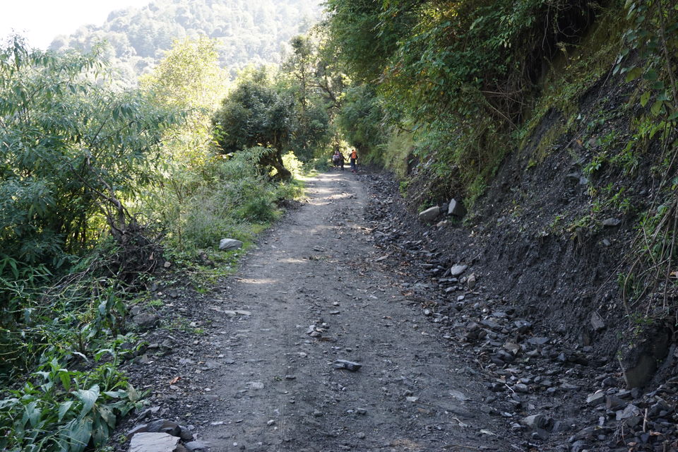 Photo of Bagi, Himachal Pradesh, India by Anas Jameel