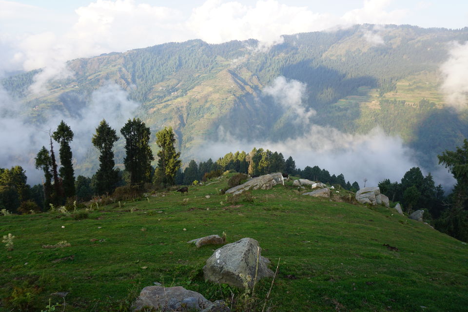 Photo of Bagi, Himachal Pradesh, India by Anas Jameel