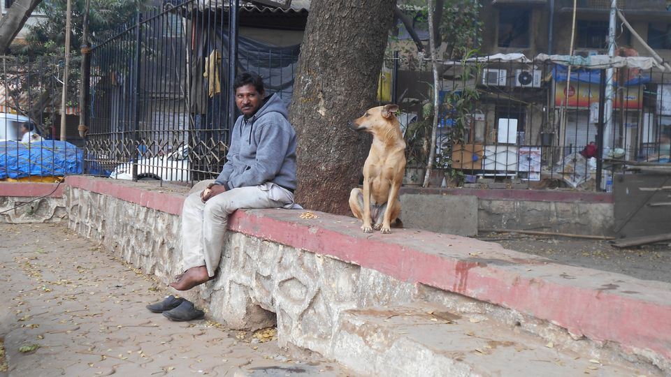 Photo of Mumbai-Gujarat-Rajasthan-Uttar pradesh by Subha Karan Sakthivel