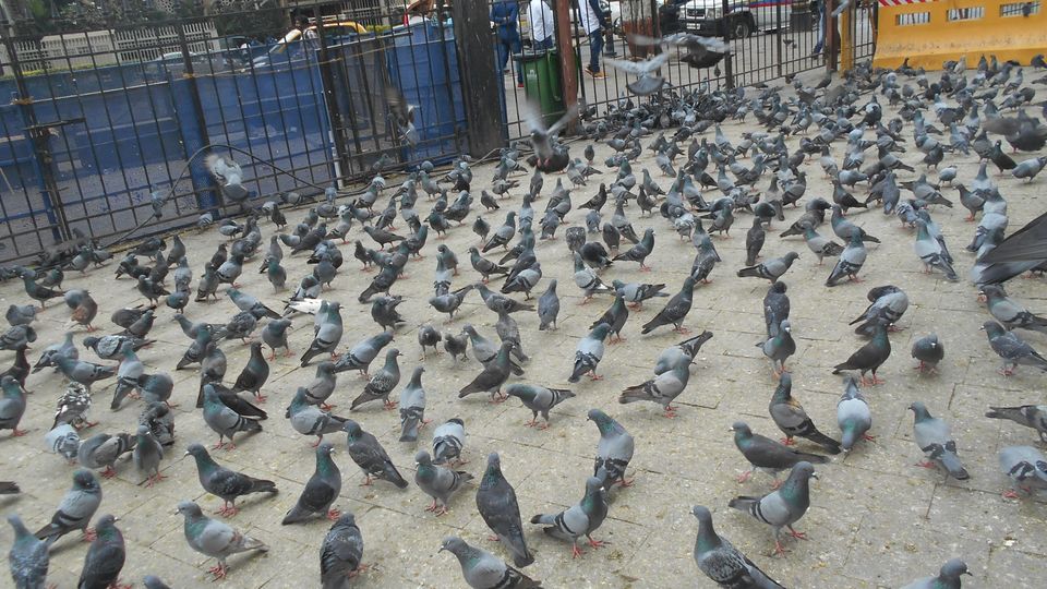 Photo of Mumbai-Gujarat-Rajasthan-Uttar pradesh by Subha Karan Sakthivel