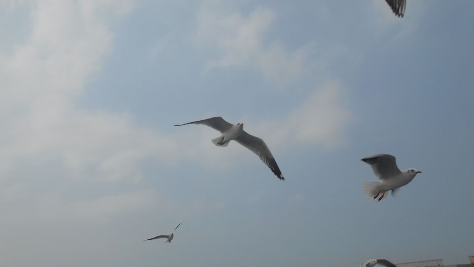 Photo of Mumbai-Gujarat-Rajasthan-Uttar pradesh by Subha Karan Sakthivel