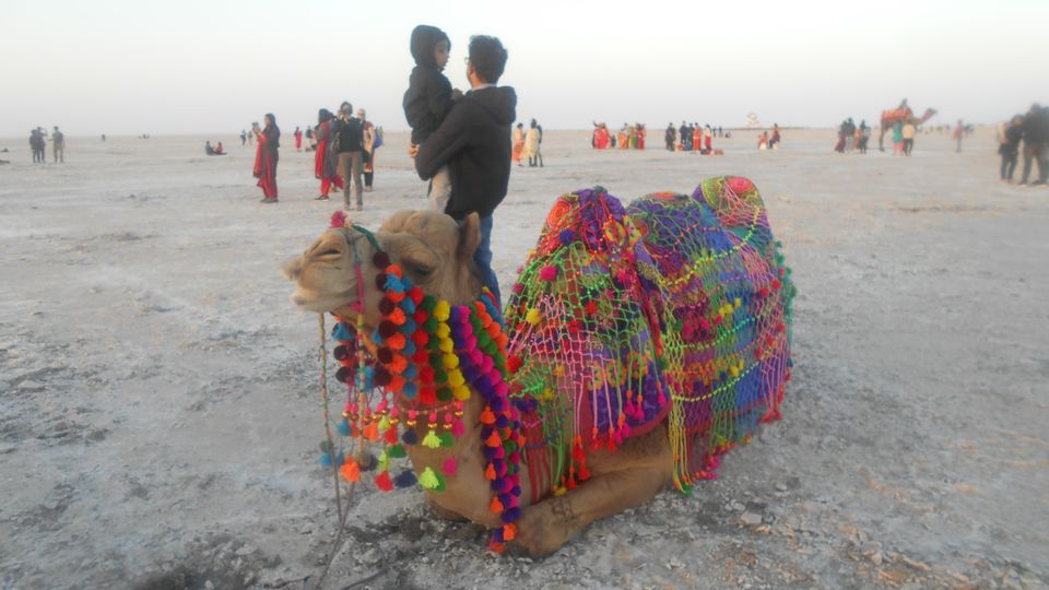Photo of Mumbai-Gujarat-Rajasthan-Uttar pradesh by Subha Karan Sakthivel