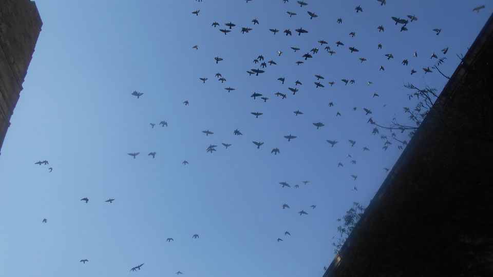 Photo of Mumbai-Gujarat-Rajasthan-Uttar pradesh by Subha Karan Sakthivel