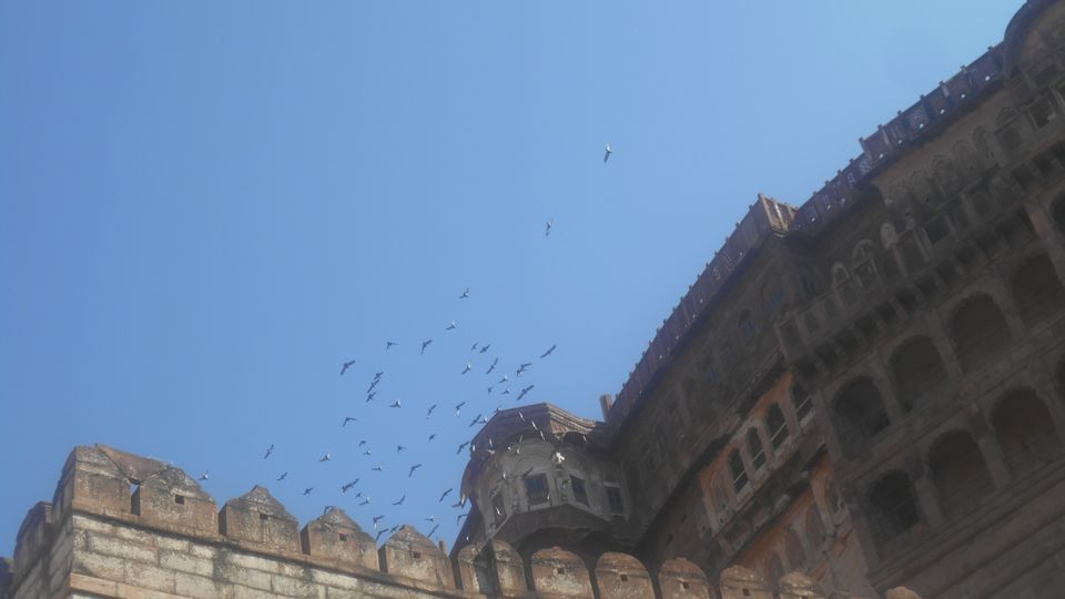 Photo of Mumbai-Gujarat-Rajasthan-Uttar pradesh by Subha Karan Sakthivel