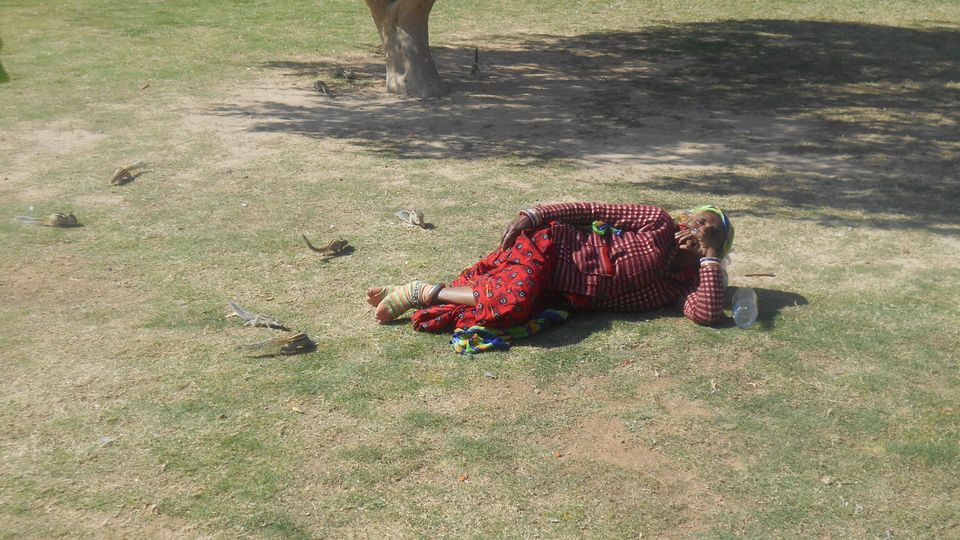 Photo of Mumbai-Gujarat-Rajasthan-Uttar pradesh by Subha Karan Sakthivel