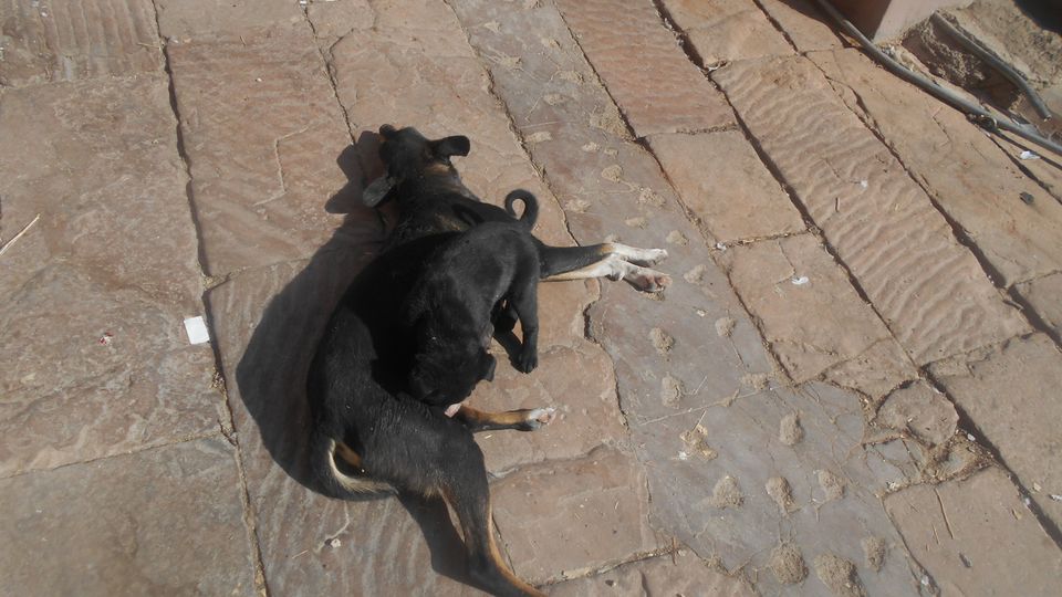 Photo of Mumbai-Gujarat-Rajasthan-Uttar pradesh by Subha Karan Sakthivel