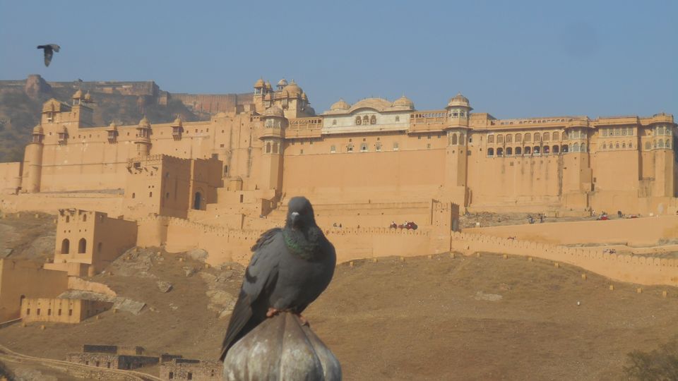 Photo of Mumbai-Gujarat-Rajasthan-Uttar pradesh by Subha Karan Sakthivel