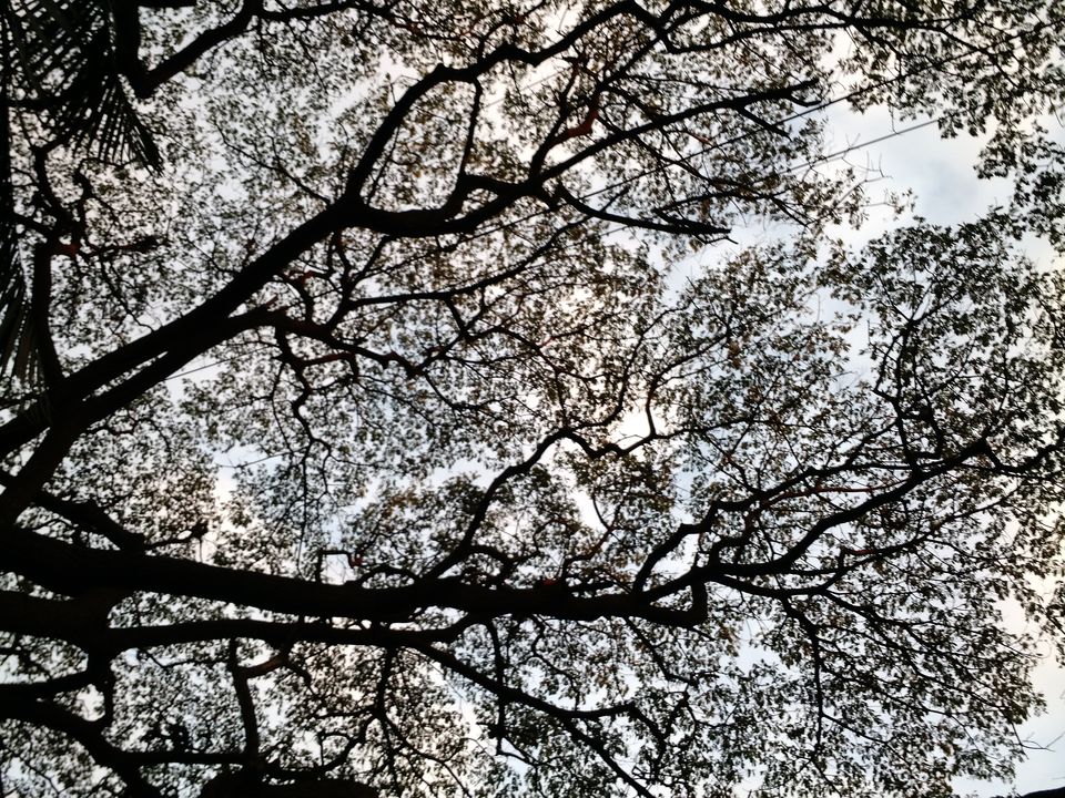 Photo of A jobless month and Travel Story! 6/8 by Rumana Shaikh