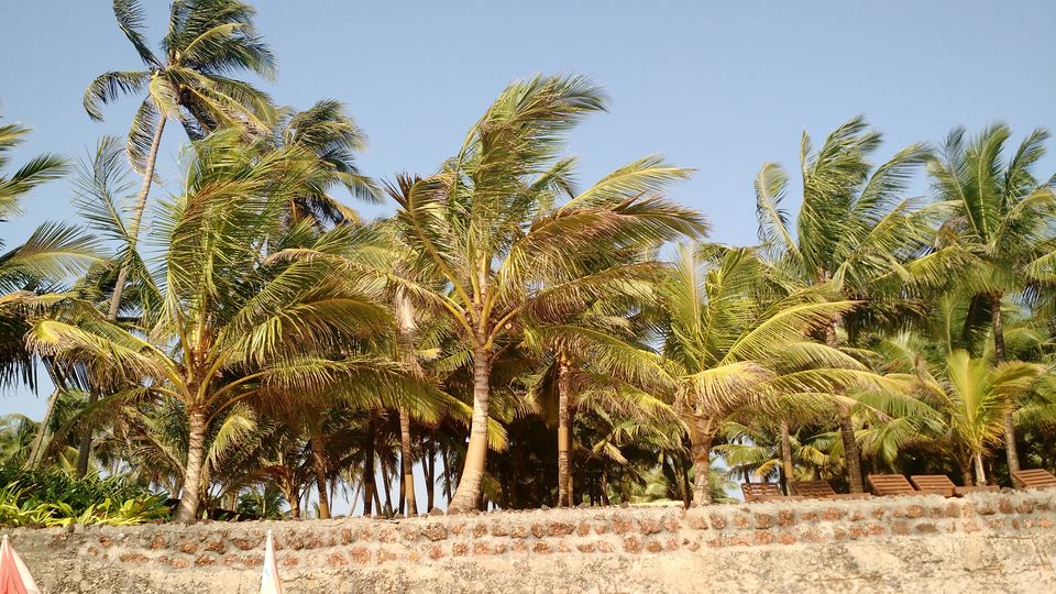 Photo of A long weekend in Goa! 7/10 by Rumana Shaikh
