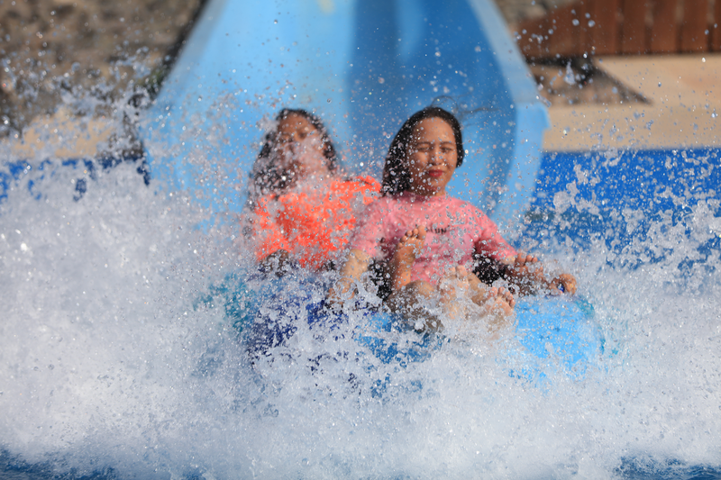 Photo of 5 Reasons Why You Should Ditch Friends And Celebrate New Year 2019 With Your Family In Sharjah 1/4 by Sharjah Tourism