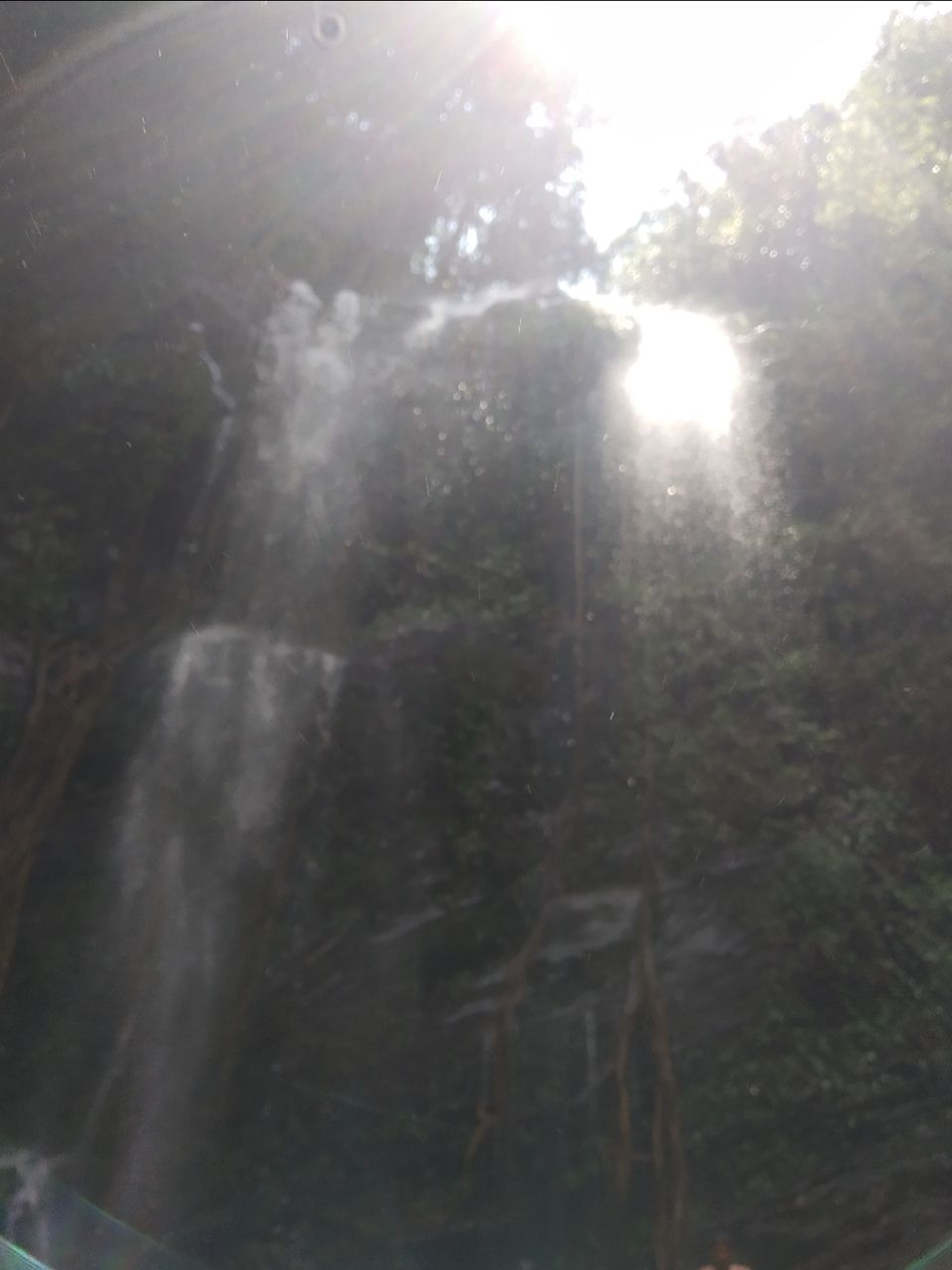 Photo of Trek to relief and for peace.. Kodachadri is the answer for that by Azar Khateeb