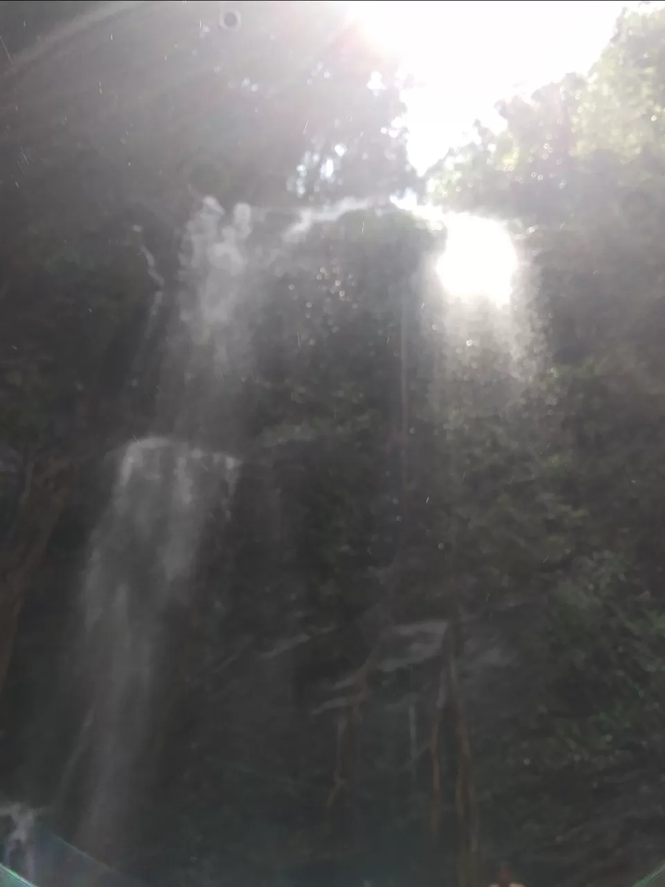 Photo of Trek to relief and for peace.. Kodachadri is the answer for that by Azar Khateeb