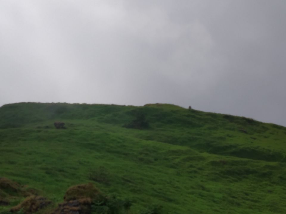 Photo of Trek to relief and for peace.. Kodachadri is the answer for that by Azar Khateeb