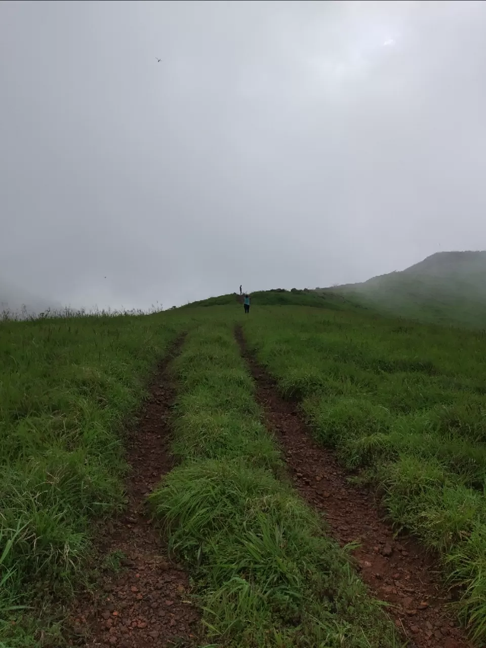 Photo of Trek to relief and for peace.. Kodachadri is the answer for that by Azar Khateeb