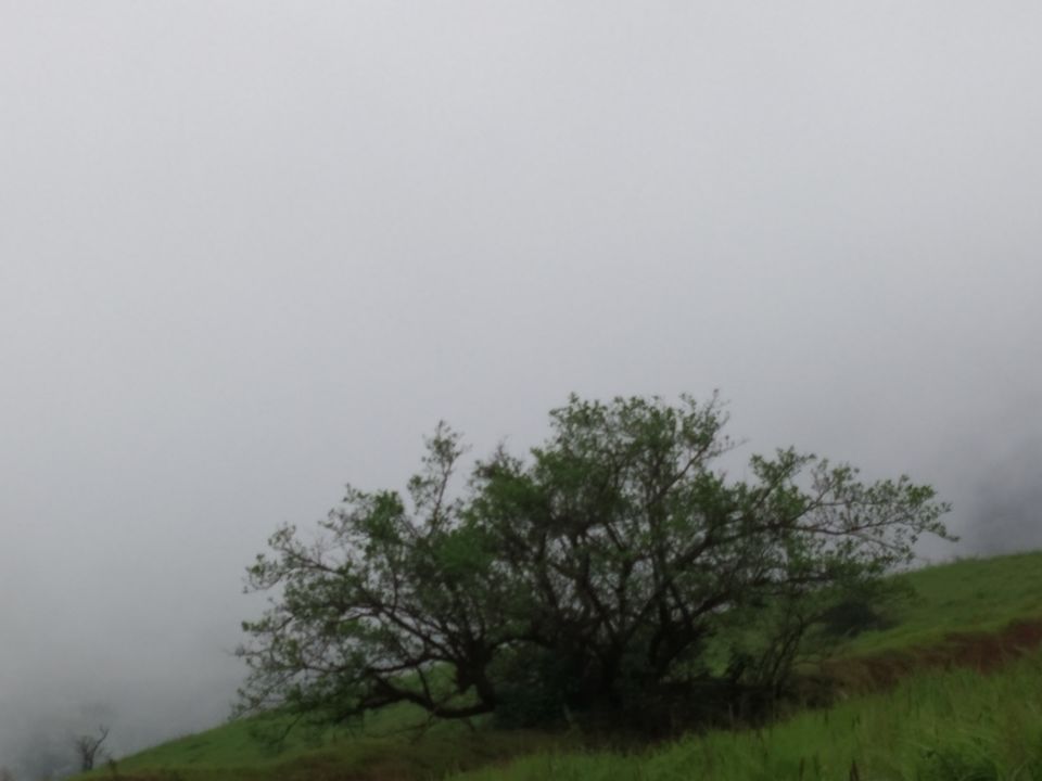 Photo of Trek to relief and for peace.. Kodachadri is the answer for that by Azar Khateeb