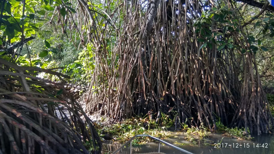 Photo of Fort Kochi, Kochi, Kerala, India by Priyanka Nagar