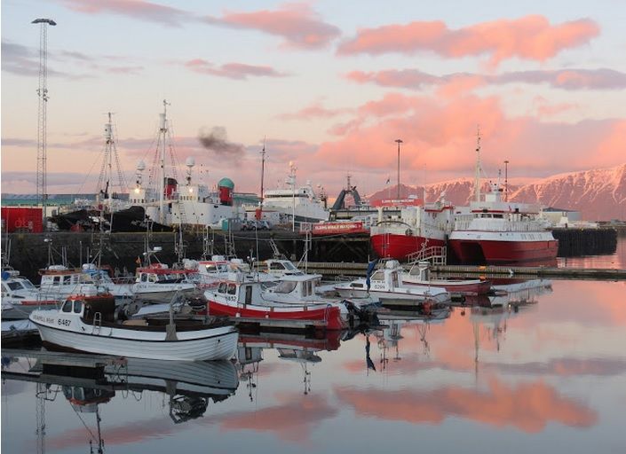 Photo of Old Habour, Iceland by Yanting Chan