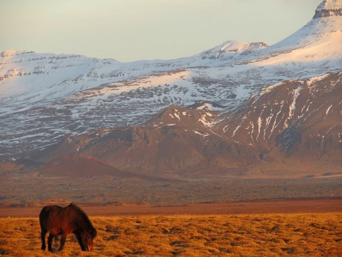 Photo of Freezing Roads In Iceland 10/13 by Yanting Chan