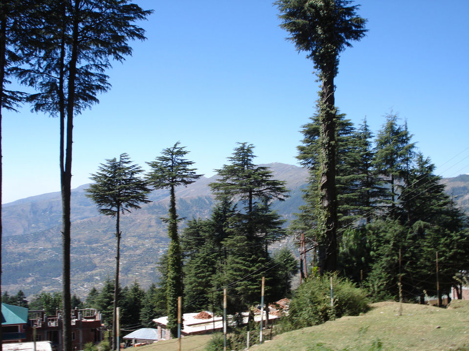 Photo of Solitude at Patnitop 4/4 by Jasmeen G Dugal