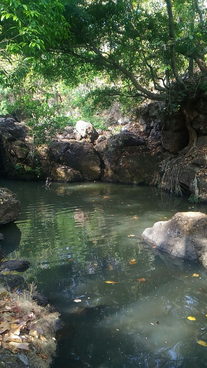 Photo of Netarhat, Jharkhand, India by Anshu David Kiro