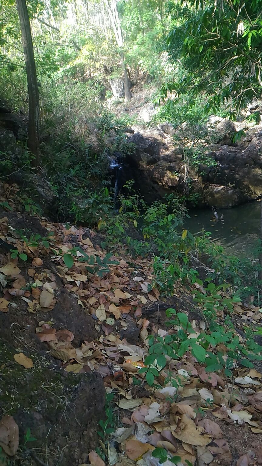 Photo of Netarhat, Jharkhand, India by Anshu David Kiro