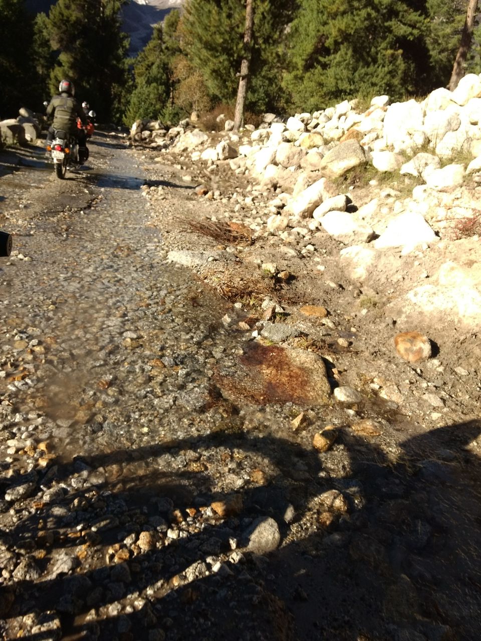 Photo of The great Himalayan Odyssey- Part 1 by Preeti Choudhary