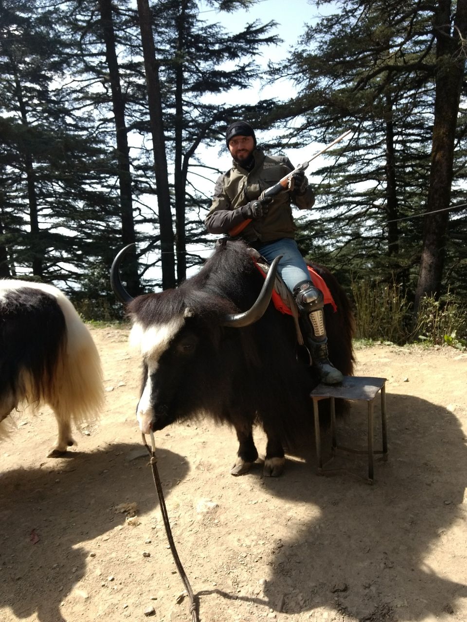 Photo of The great Himalyan Odyssey- Part 2 by Preeti Choudhary