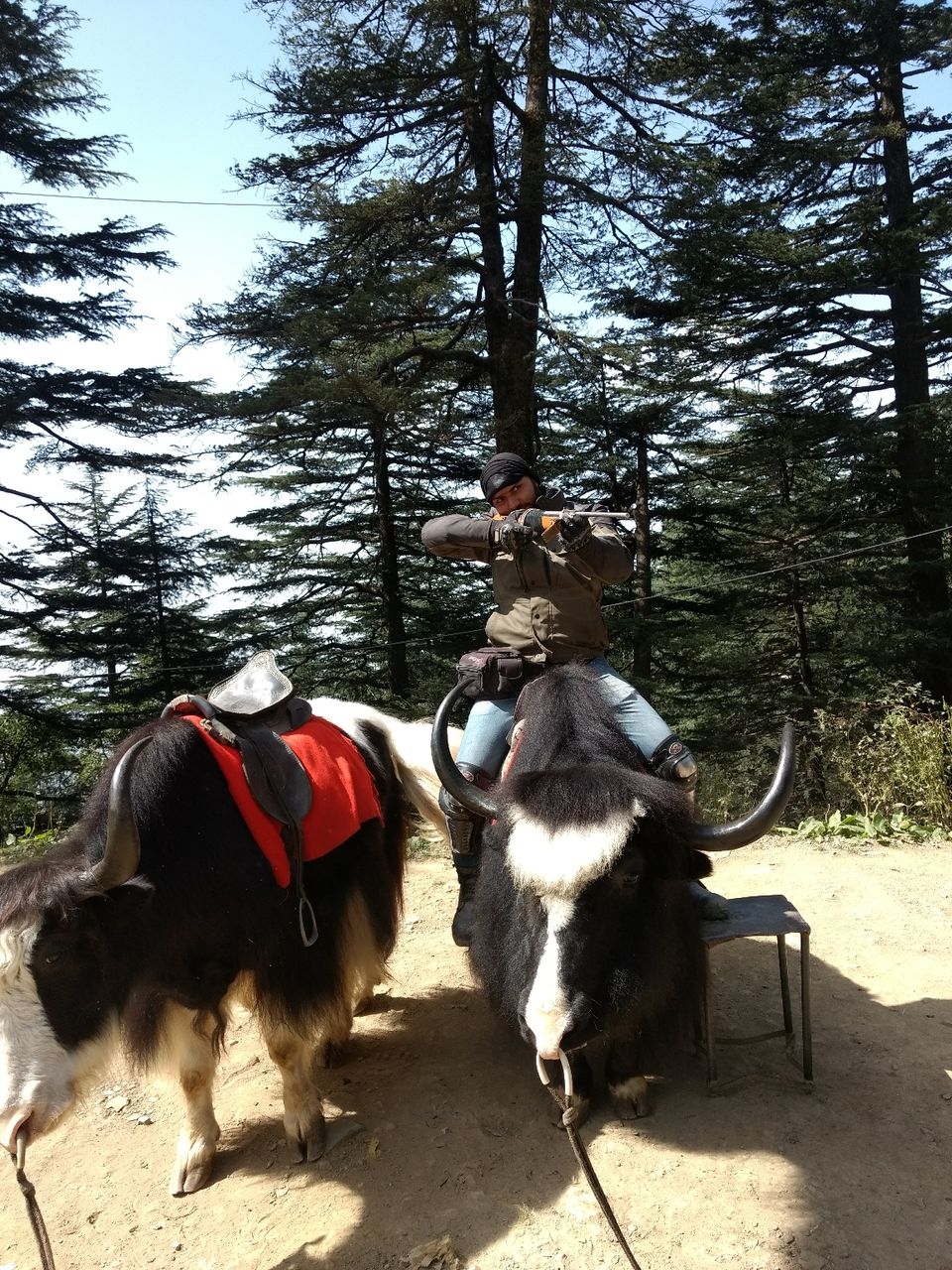 Photo of The great Himalyan Odyssey- Part 2 by Preeti Choudhary