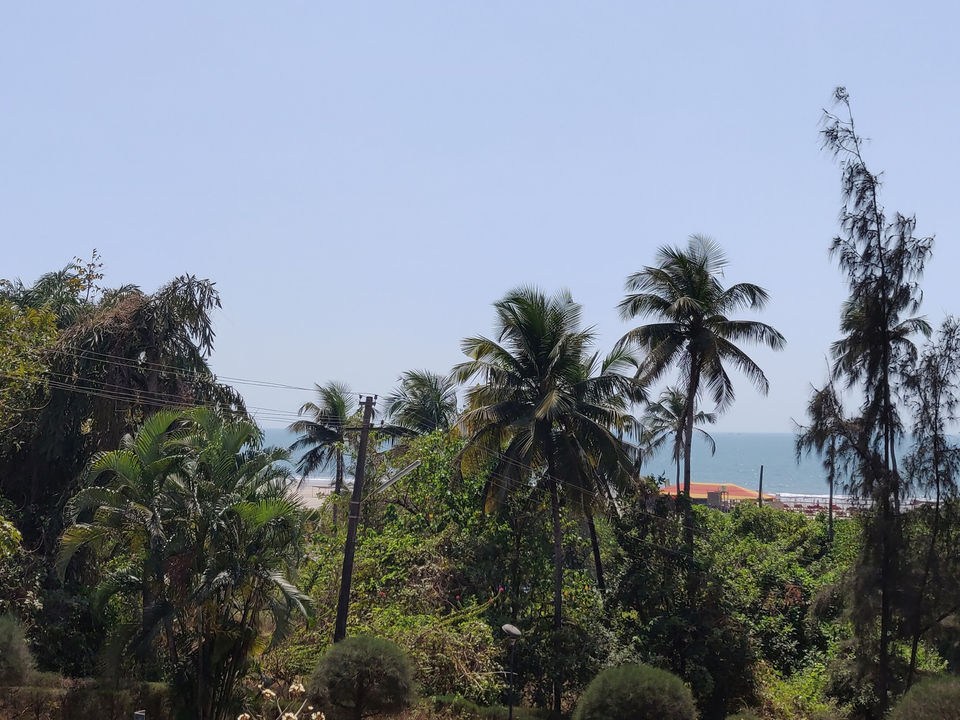 Photo of Arambol, Goa, India by Preeti Choudhary