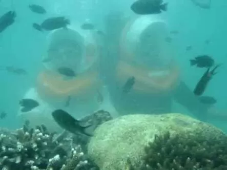 Photo of The Coral Islands, Koh Larn, Pattaya, Bang Lamung District, Chon Buri, Thailand by Preeti Choudhary