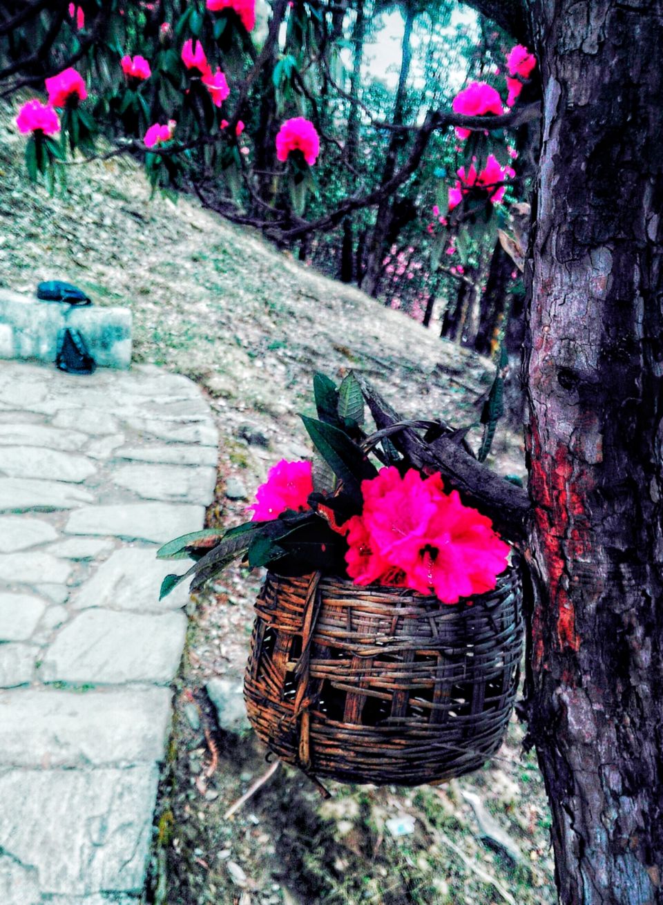 Photo of A Jug full of Experiences by CREATIVE STUDIO