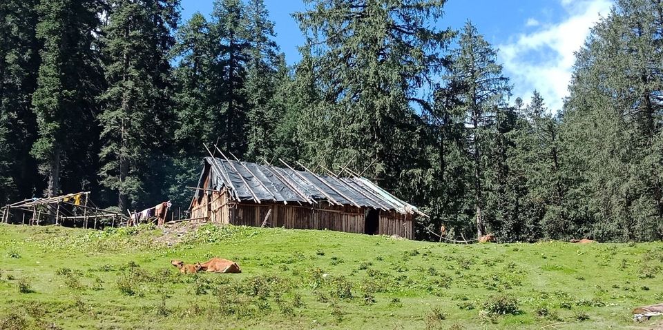 Photo of Kuppar, Himachal Pradesh, India by Navneet Kumar