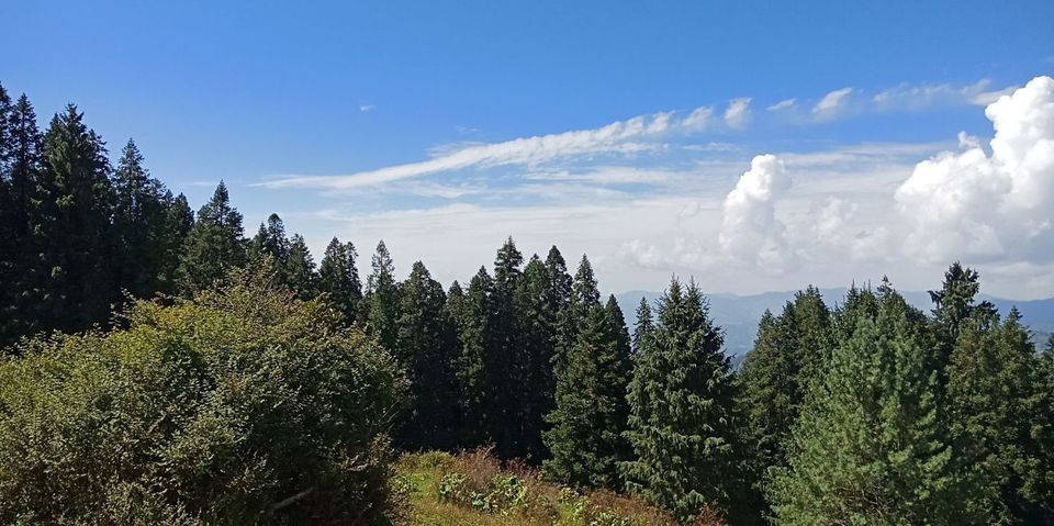 Photo of Kuppar, Himachal Pradesh, India by Navneet Kumar