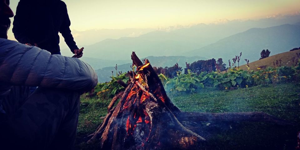 Photo of A highland meadow - Kupad Bugyal by Navneet Kumar