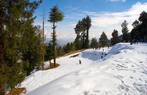 Photo of Experience The Serenity Of Mountains On Your Trip To Uttarakhand 4/6 by Payal Mathur