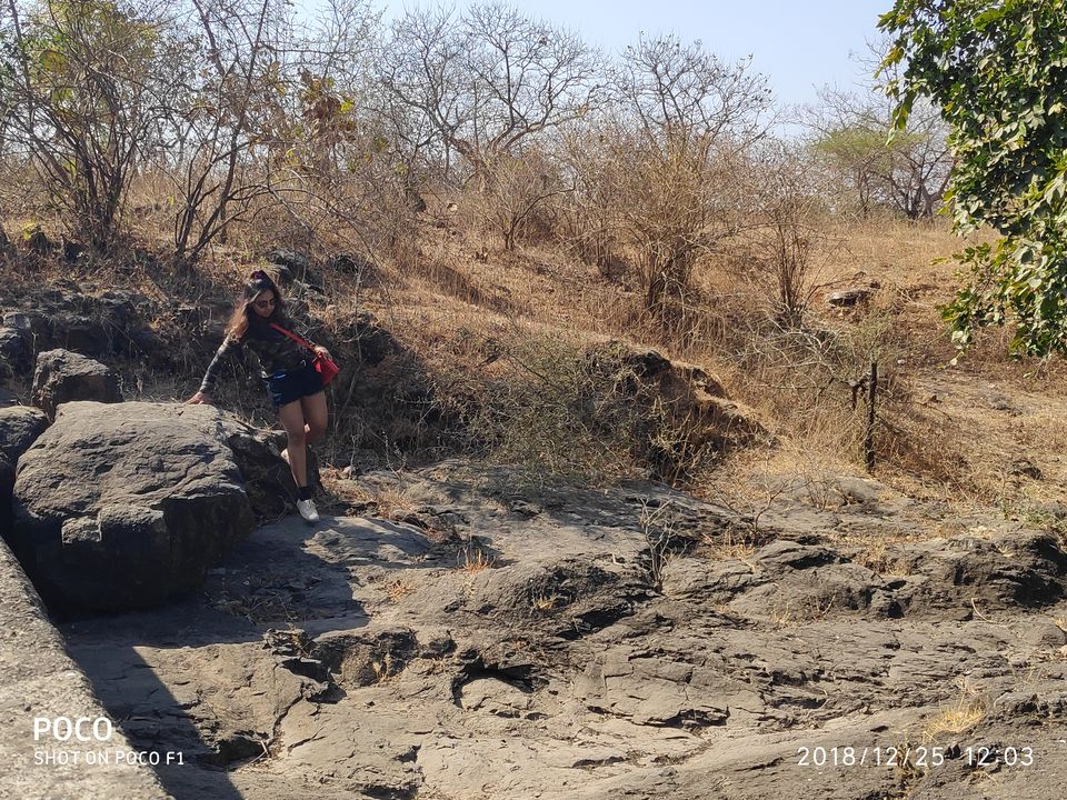 Photo of Gir National Park Safari... by Laxmi Oraon