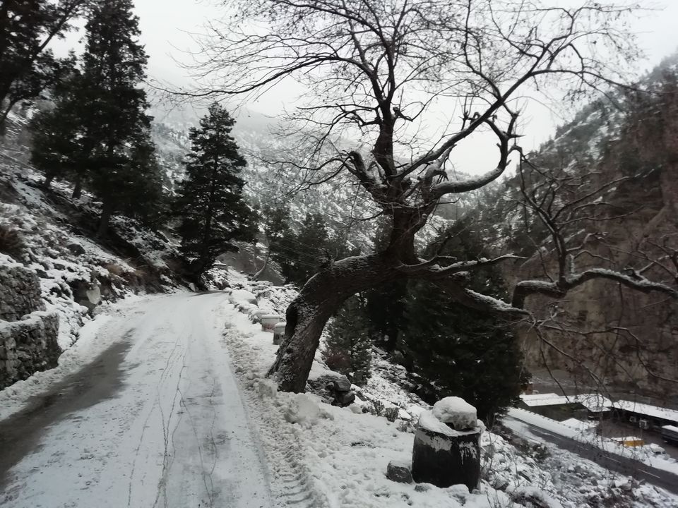 Photo of Reckong Peo... A Snow Wonderland... by Laxmi Oraon